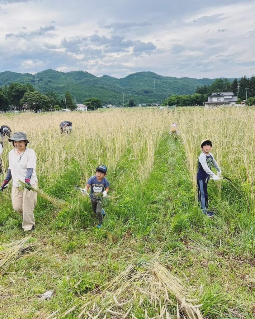 写真: アルピョンこどもの家