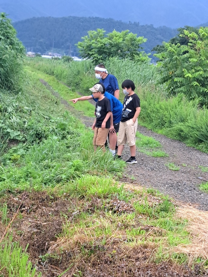 写真: 日なた