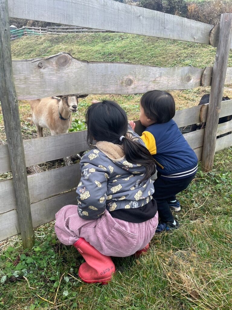 里山スクール木の子「わかば」の写真